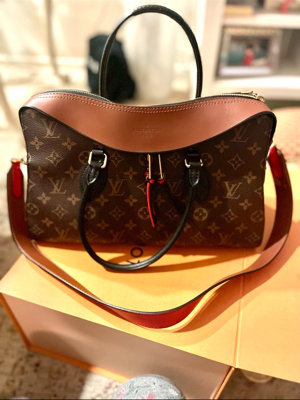 Louis Vuitton Tuileries Bag NEW authentic